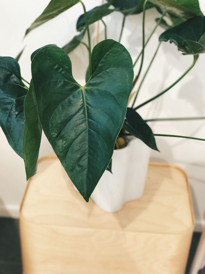 Interior: Scandinavian design